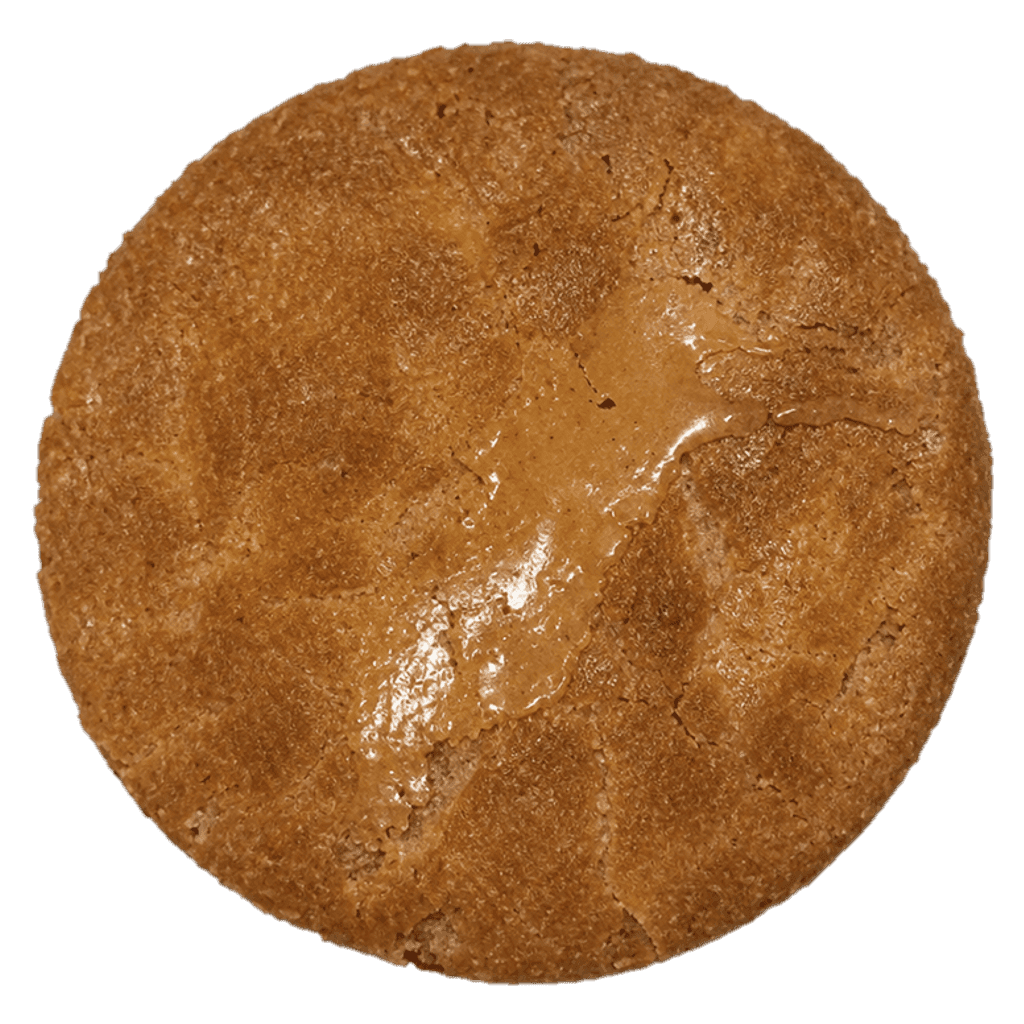 Biscoff with Biscoff Filling cookie, seen from above